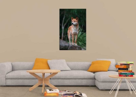 Tablou Canvas Caine