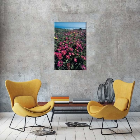 Tablou Canvas Camp cu flori