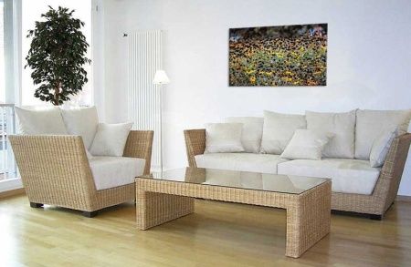 Tablou Canvas Camp cu Flori
