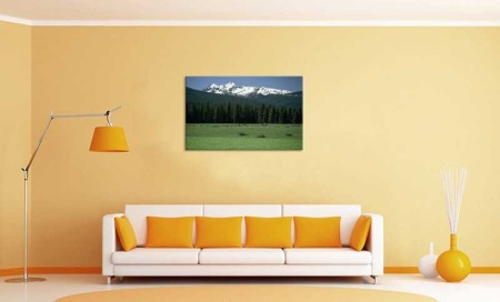 Tablou Canvas Camp