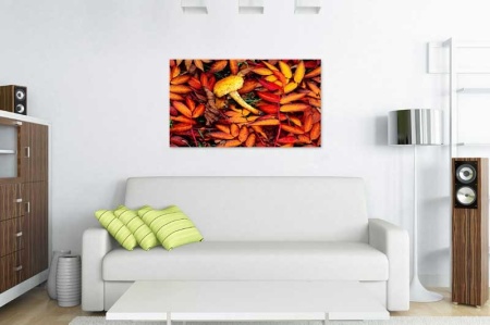 Tablou Canvas Ciuperca in Frunze