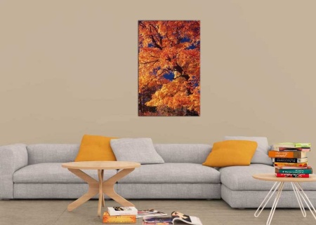 Tablou Canvas Copac Toamna