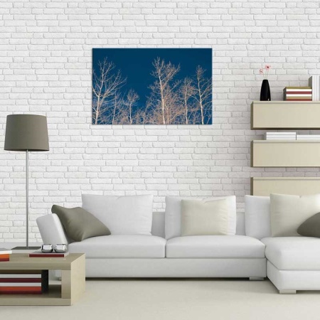 Tablou Canvas Copaci Fara Frunze