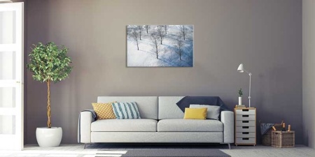 Tablou Canvas Copaci in zapada