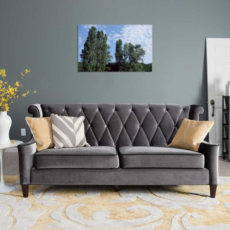 Tablou Canvas Copaci