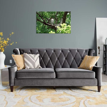 Tablou Canvas Copaci