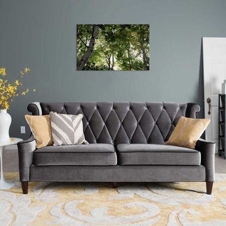 Tablou Canvas Copaci