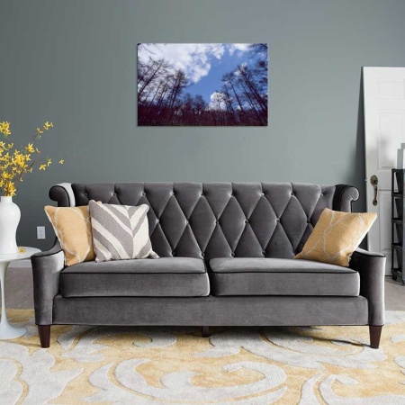 Tablou Canvas Copaci