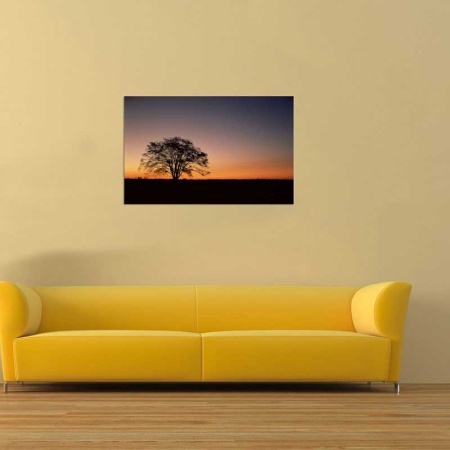 Tablou Canvas Copaci