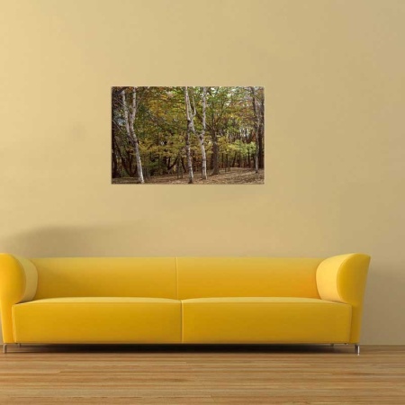 Tablou Canvas Copaci