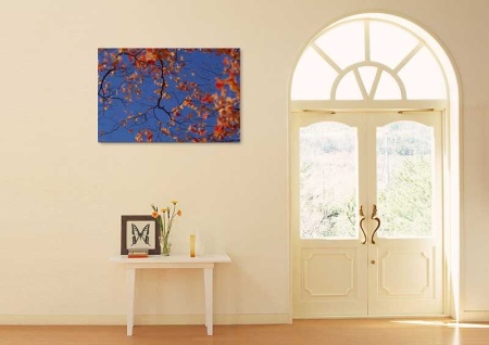 Tablou Canvas Copaci