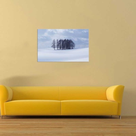 Tablou Canvas Copaci