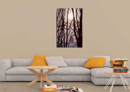 Tablou Canvas Copaci