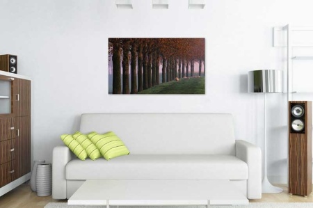 Tablou Canvas Copaci