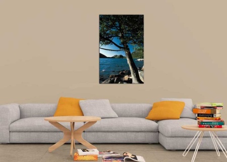 Tablou Canvas Copac