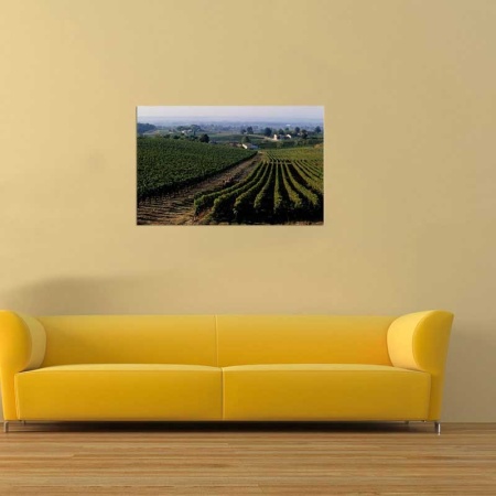 Tablou Canvas Cultura Agricola