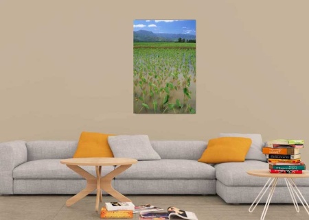 Tablou Canvas Cultura Agricola