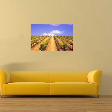 Tablou Canvas Cultura Agricola