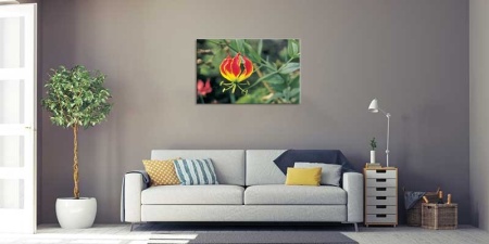 Tablou Canvas Floare Detaliu