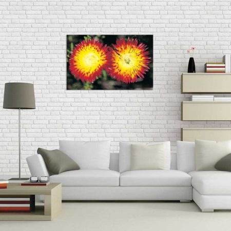 Tablou Canvas Floare Detaliu