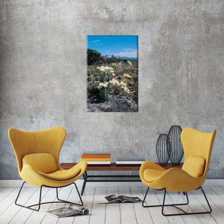 Tablou Canvas Flori de camp