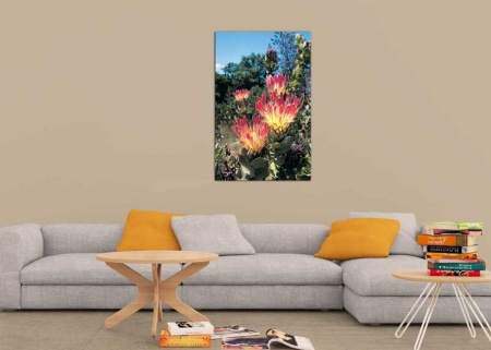 Tablou Canvas Floricele