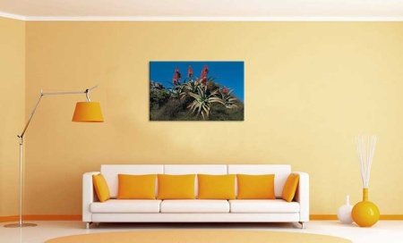 Tablou Canvas Floricele