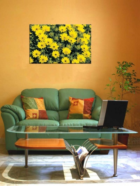 Tablou Canvas Floricele