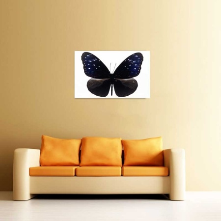 Tablou Canvas Fluturas