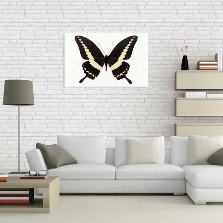 Tablou Canvas Fluturas