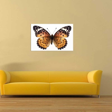 Tablou Canvas Fluturas