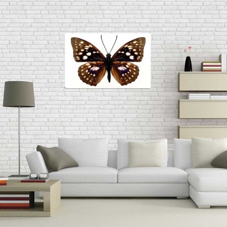 Tablou Canvas Fluturas