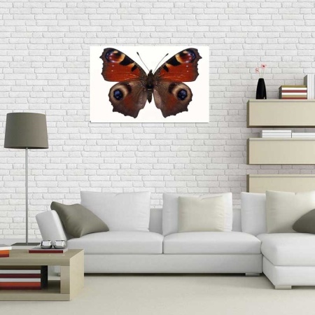 Tablou Canvas Fluturas