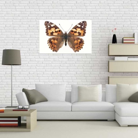 Tablou Canvas Fluturas