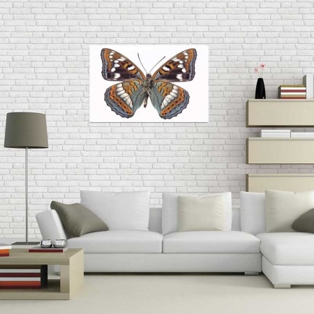 Tablou Canvas Fluturas