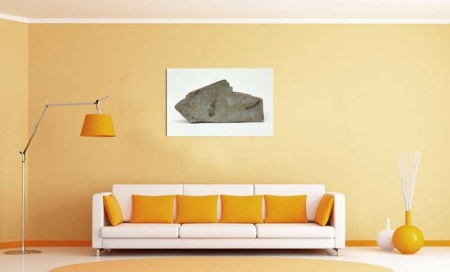 Tablou Canvas Fosila