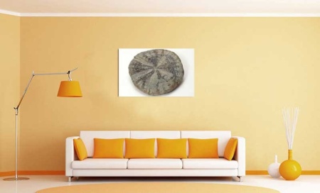 Tablou Canvas Fosila