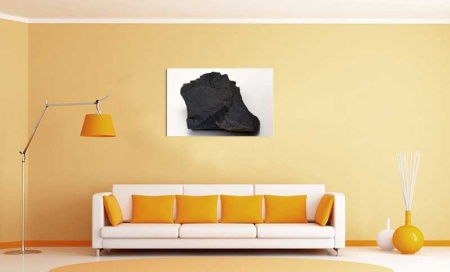 Tablou Canvas Fosila