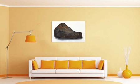 Tablou Canvas Fosila