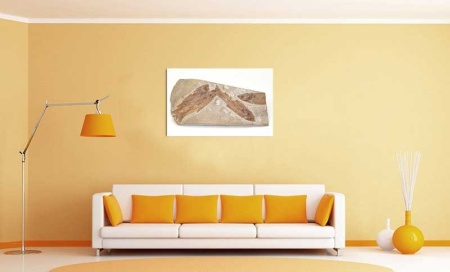 Tablou Canvas Fosila