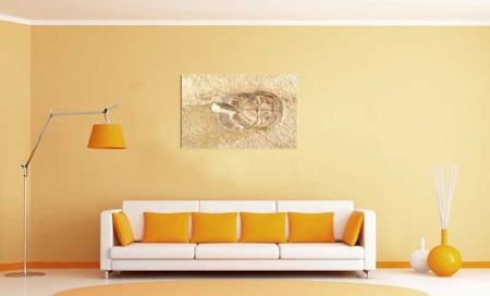 Tablou Canvas Fosila