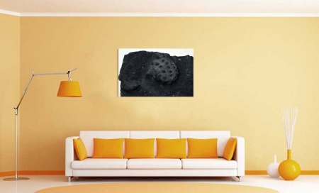 Tablou Canvas Fosila