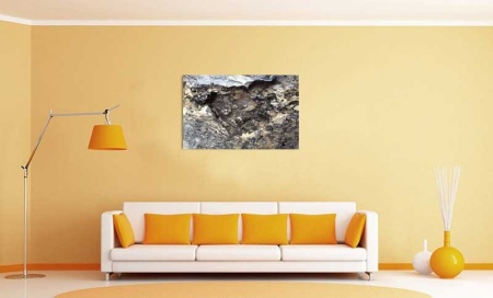 Tablou Canvas Fosila