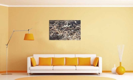 Tablou Canvas Fosila