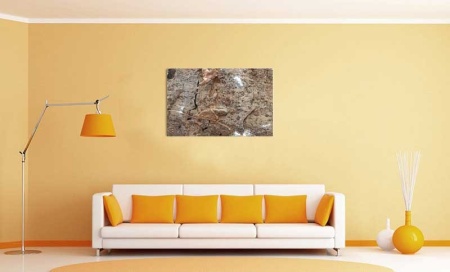 Tablou Canvas Fosila