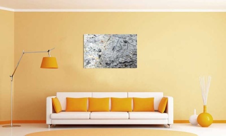 Tablou Canvas Fosila