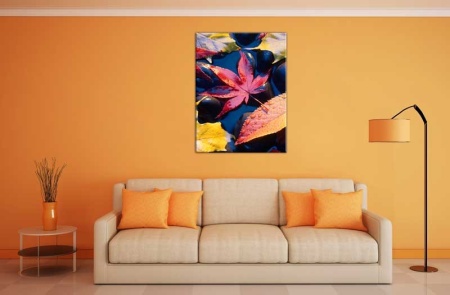 Tablou Canvas Frunza
