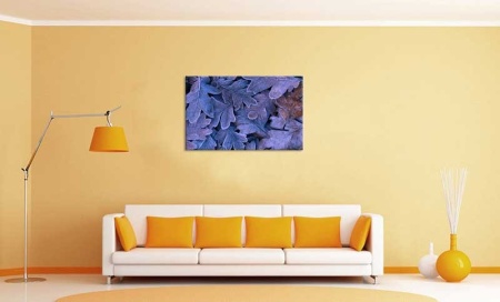 Tablou Canvas Frunze Inghetate