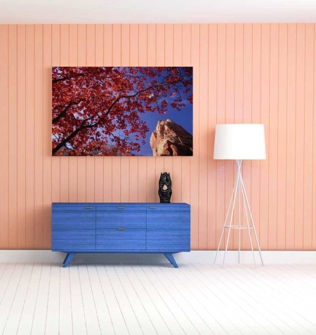 Tablou Canvas Frunze rosii