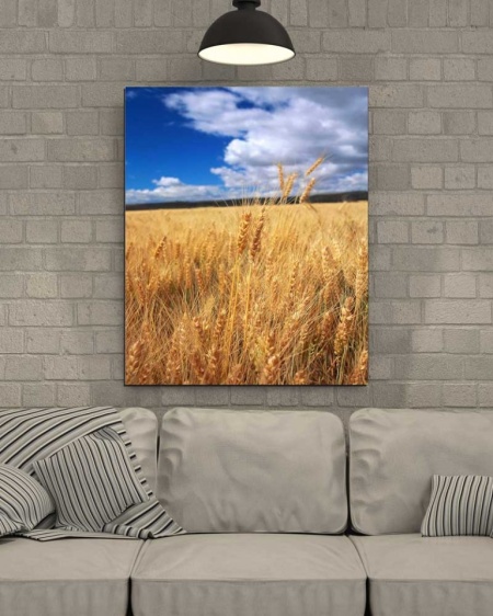 Tablou Canvas Grau